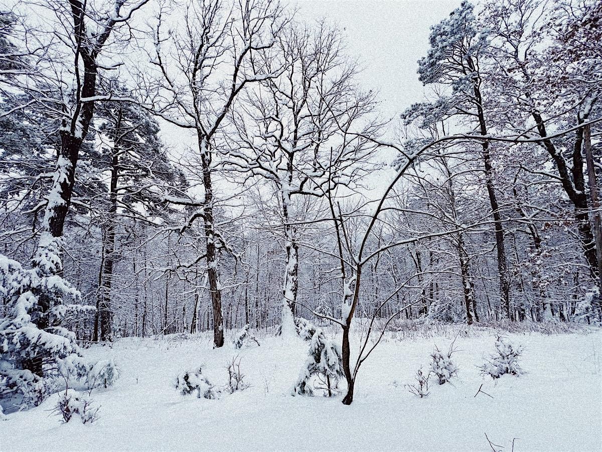 ForREST Retreat: Winter Hibernation Weekend, 7 February | Event in Egbert | AllEvents