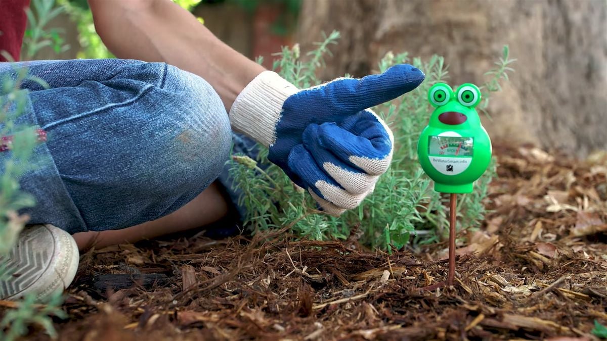 Elvie Perazzo Briggs Park Tree Care, 16 August | Event in Folsom | AllEvents