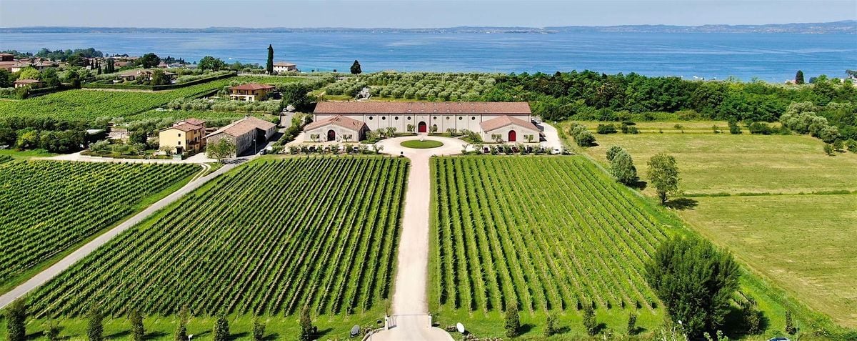 Soave and Amarone Wine Tasting with Guerrieri Rizzardi, 24 October | Event in St Albans | AllEvents