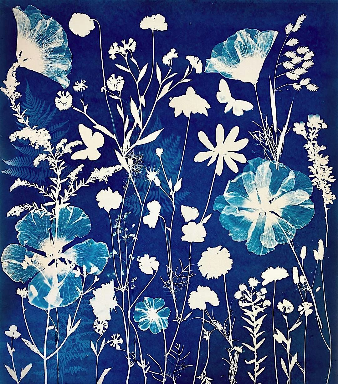 Cyanotype Printing Workshop, 18 October | Event in Fayetteville | AllEvents