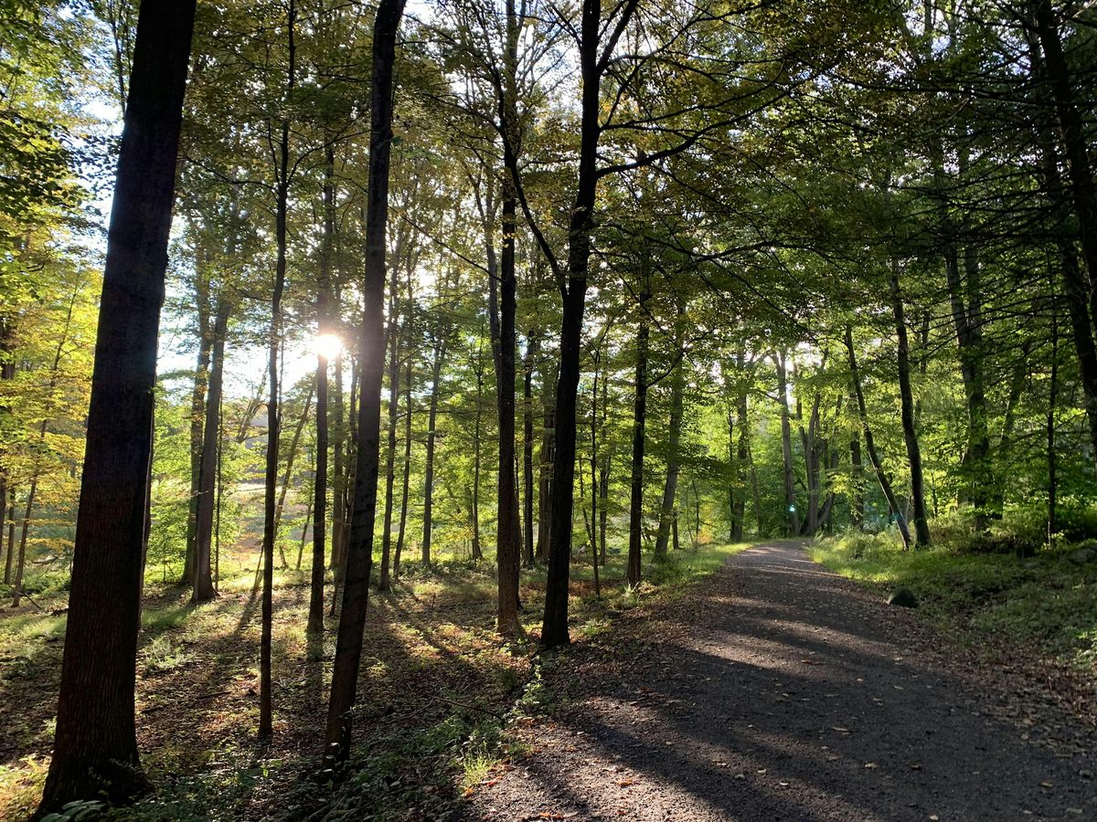 Hike with Mike: Swan Lake—Overlook to Lakeside, 14 June | Event in Pleasantville | AllEvents