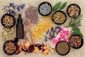 Tincture Magic: From Plant to Potion Pt.2, 5 July | Event in Detroit | AllEvents