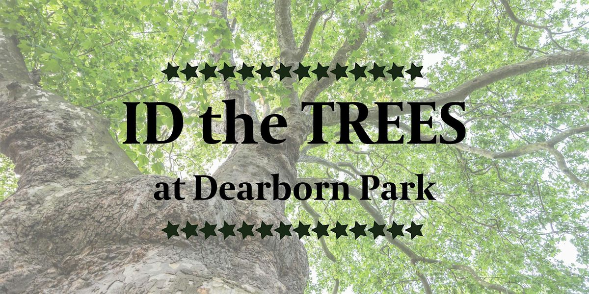 ID the Trees at Dearborn Park, 13 September | Event in Decatur | AllEvents