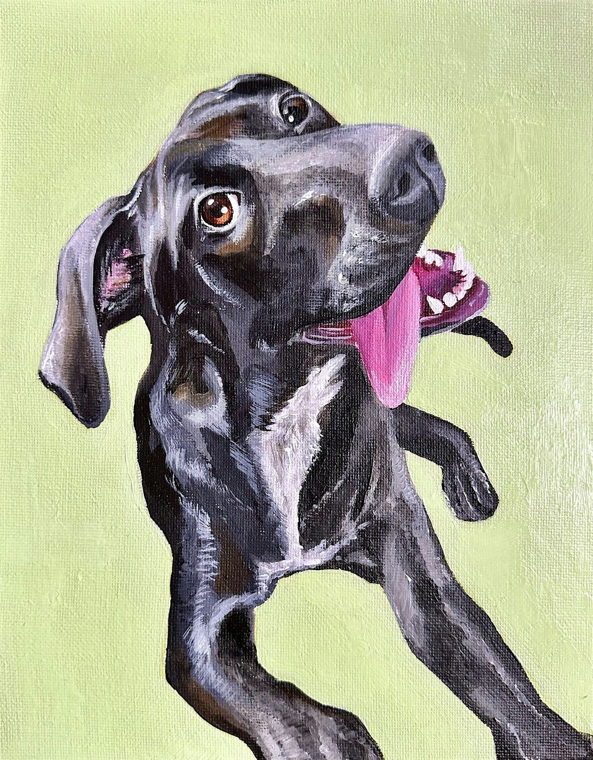 Paint your Pet and Sip at Rockwell, 27 May | Event in St. Louis | AllEvents