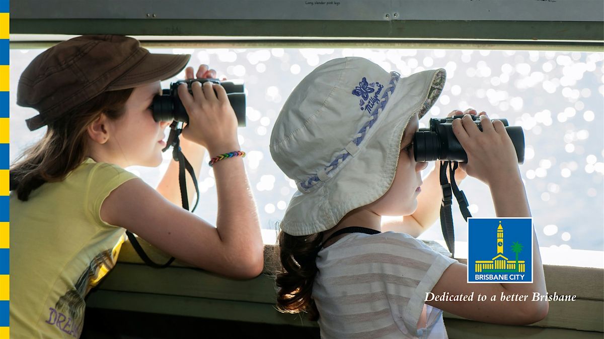 National Bird Week: Shorebird Adventure (7 -12 yrs), 26 October | Event in Boondall | AllEvents