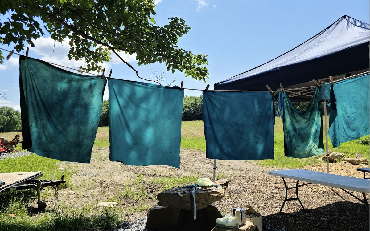 Fresh Leaf Indigo Dyeing Workshop, 23 August | Event in Claremont | AllEvents