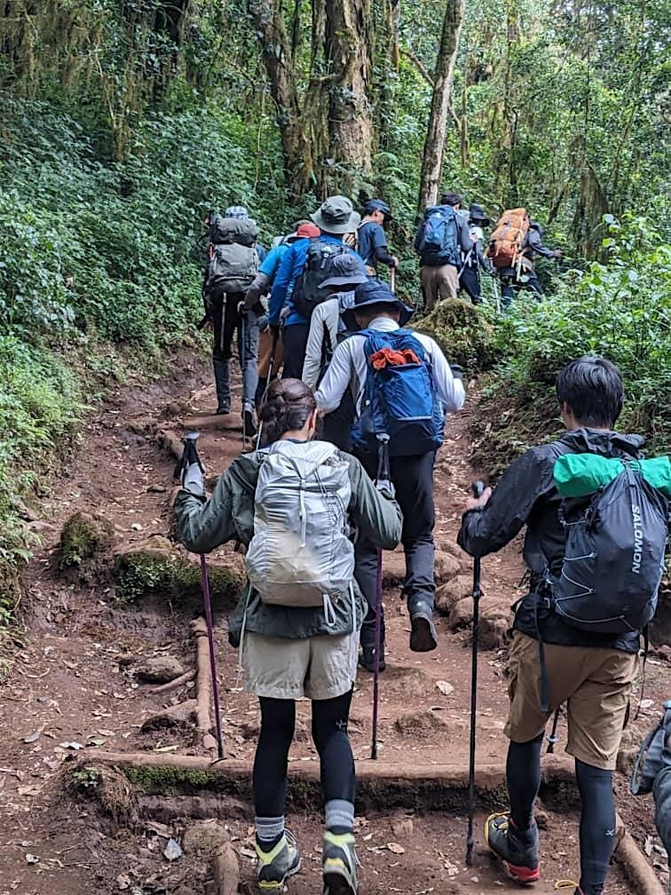 Hiking Kilimanjaro: The Machame Route Adventure, 25 December | Event in Moshi | AllEvents
