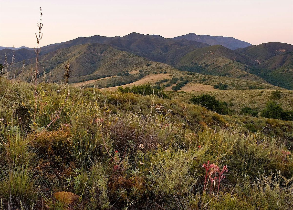 OCCNPS Field Trip - Starr Ranch Joint Field Trip with Sea & Sage Audubon, 7 June | Event in Rancho Santa Margarita
