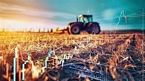 Cattle, Commodities & Market Insights, 29 October | Event in Brooks | AllEvents