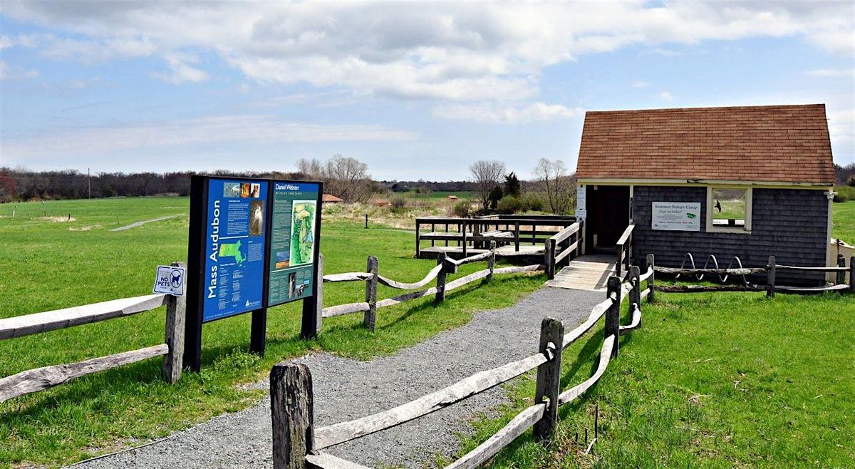 Rooted in Calm: A Mindfulness Walk for Mental Health Awareness Month, 18 May | Event in Marshfield | AllEvents