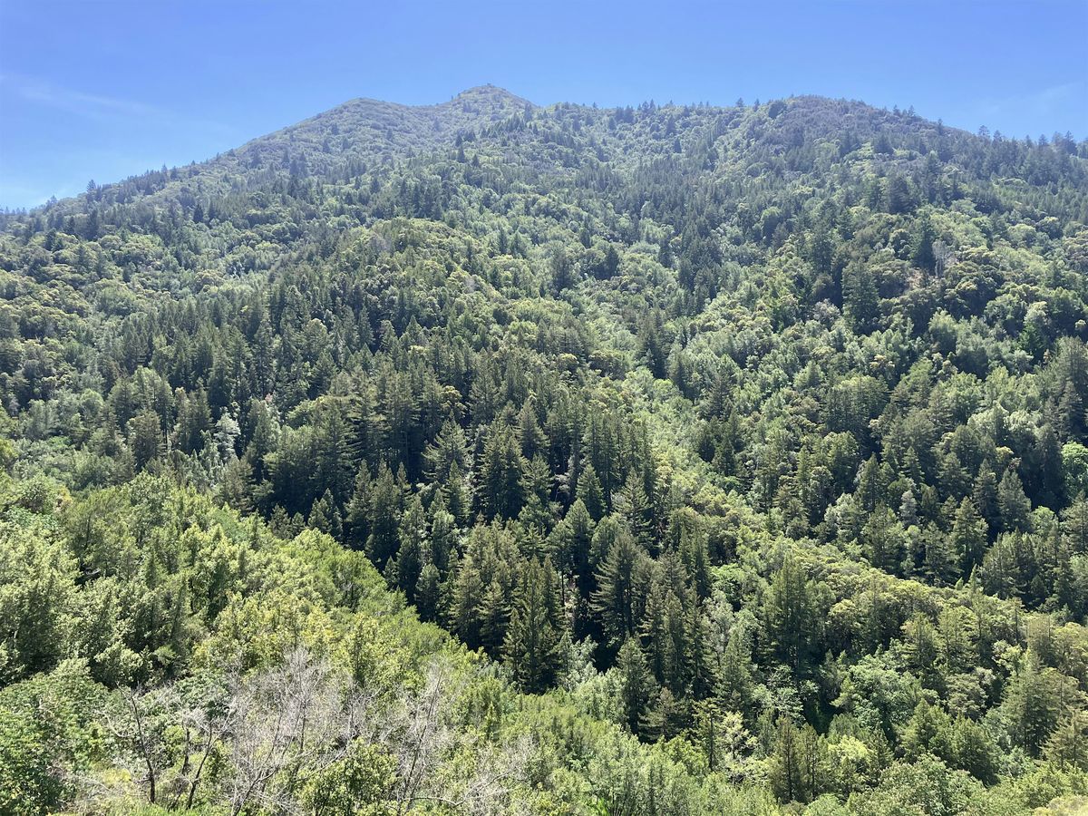 Camp On The Mountain, with LushNature., 27 September | Event in Walnut Creek | AllEvents