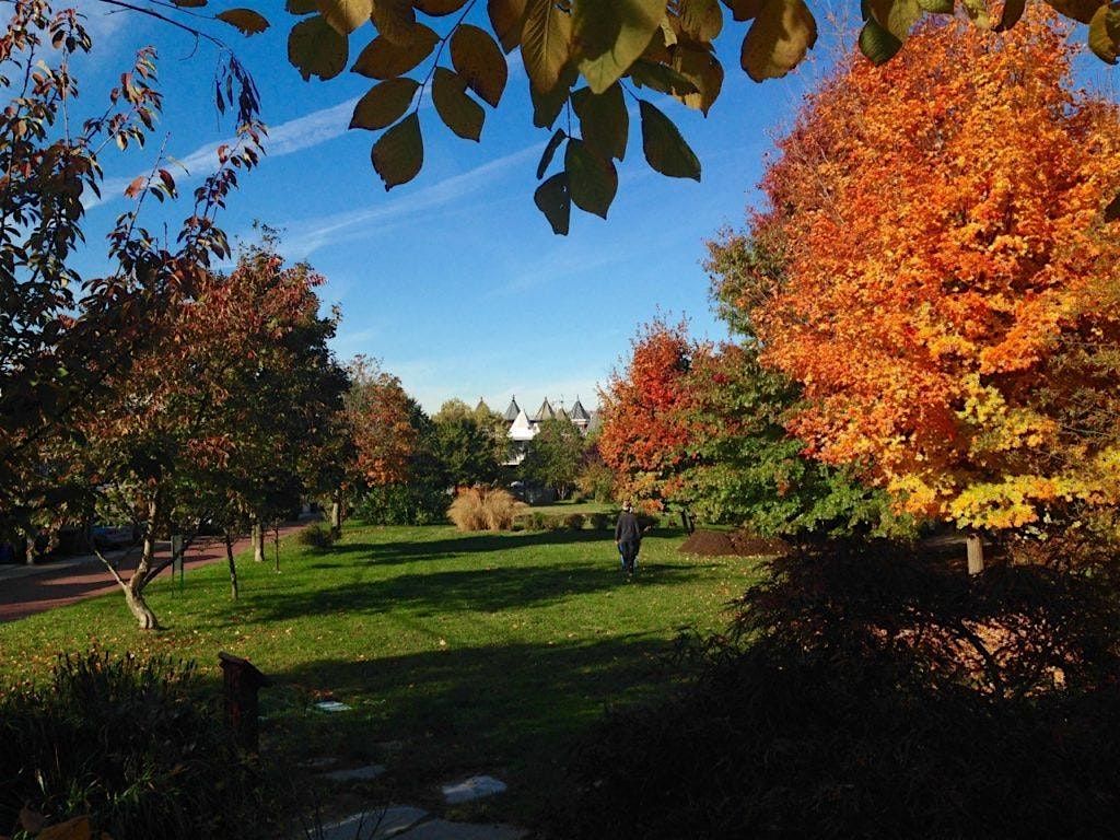 Crispus Fall Festival
