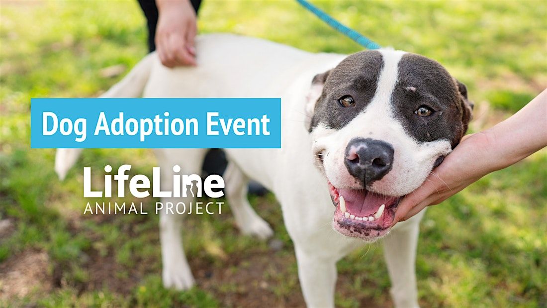 Moondog Pub & Grub Dog Adoption Event, 16 August | Event in Chamblee | AllEvents