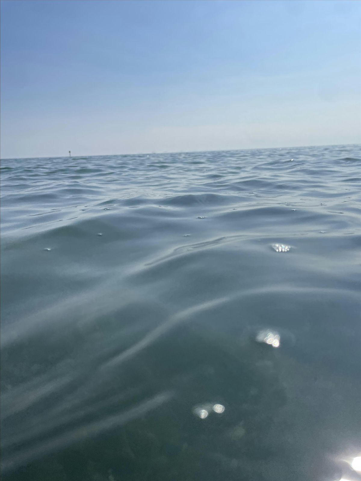 Blue Spaces: how & why water can make you feel better: Dr Catherine Kelly, 18 October | Event in Seaford