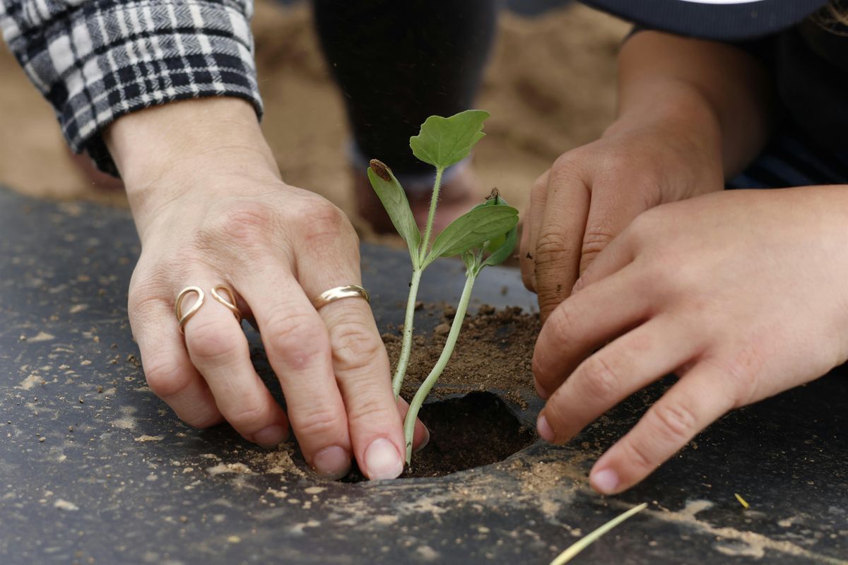 J.R. Organics Farm Tour | Event in Escondido | AllEvents