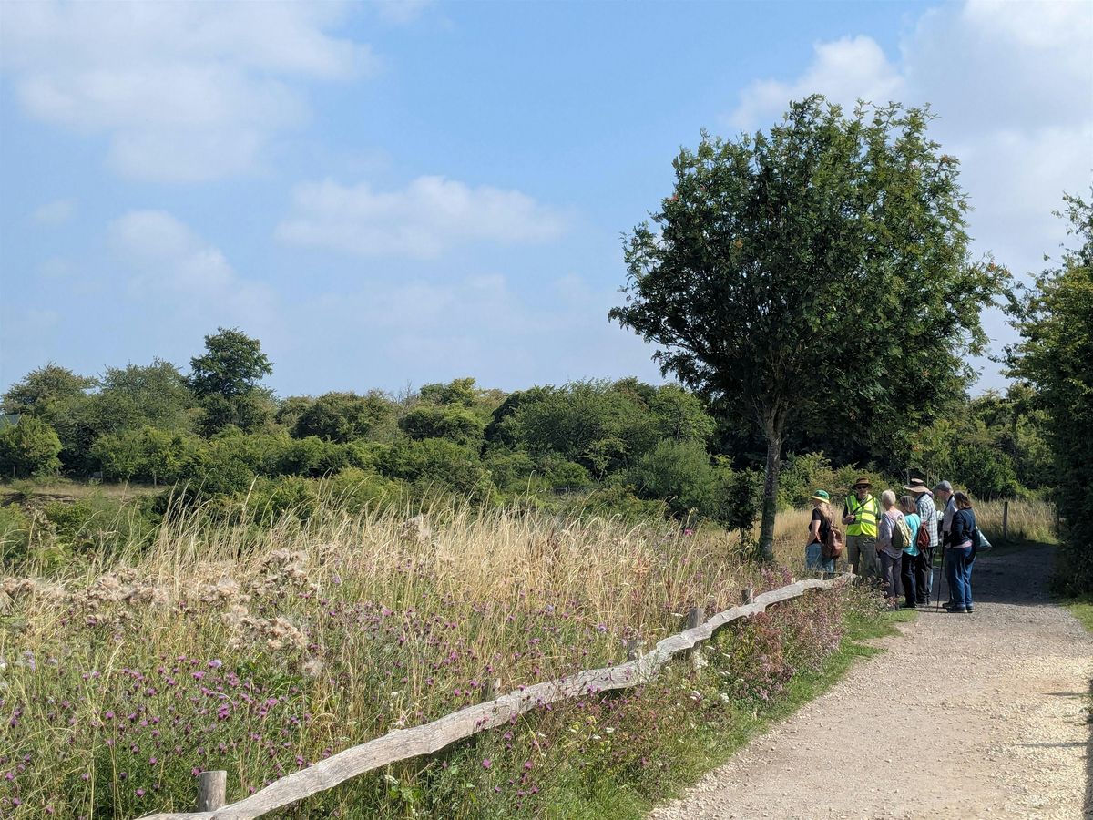 Guided Stroll of College Lake - College Lake, Friday 12 December, 12 December | Event in Berkhamsted | AllEvents