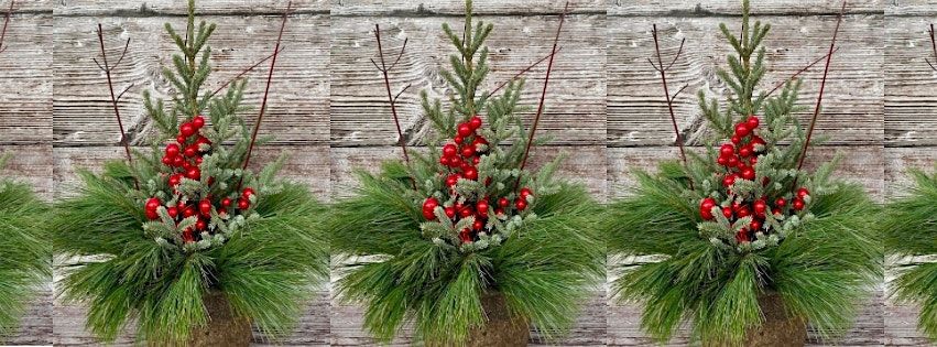 Christmas Greens Workshop: Create Your Own Small Porch Pot, 3 December | Event in Staunton | AllEvents