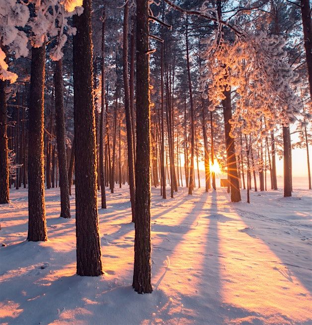 Milngavie Library Talks: Learning How to Winter Well!, 22 October | Event in Milngavie | AllEvents