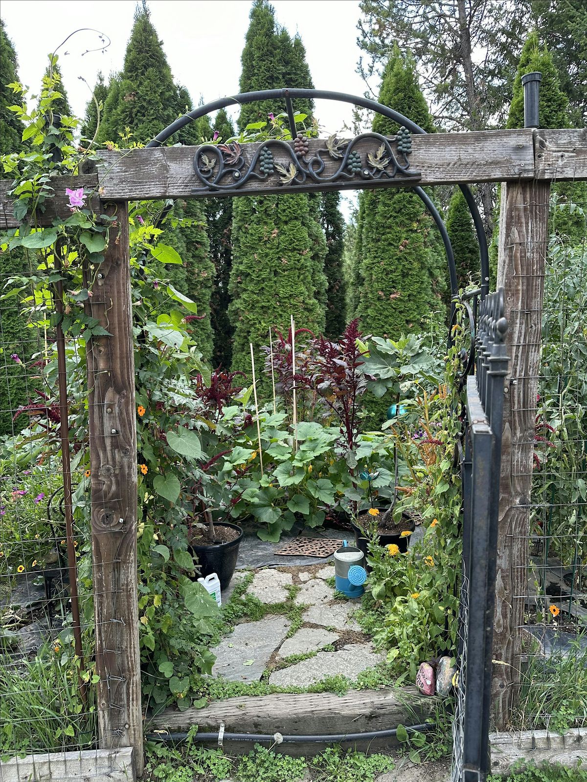 Progressive Garden Tour - hosted by Pine Street Farm to Table, 26 July | Event in Sandpoint | AllEvents