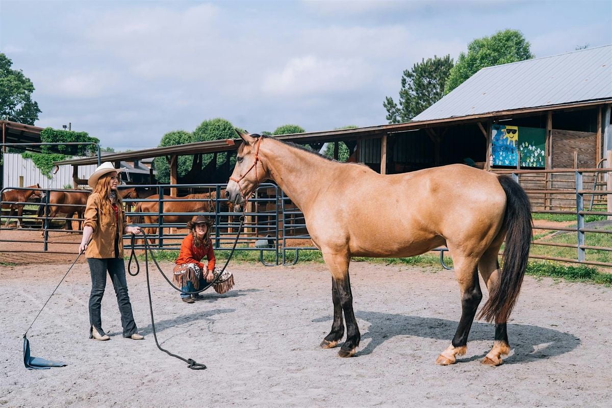 Student of the Horse: A Foundation Course to Natural Horsemanship, 8 September | Event in Canton | AllEvents