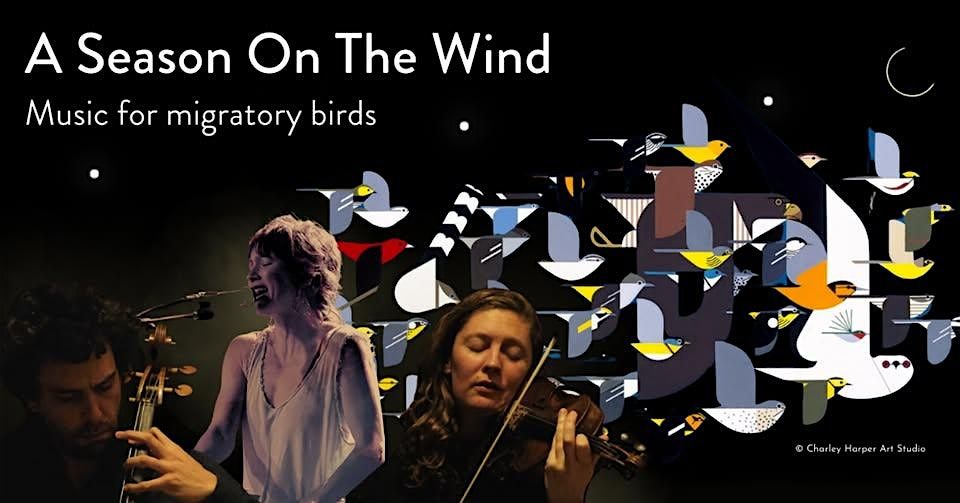 The Bowerbird Collective Performance of  "A Season on the Wind", 16 May | Event in Springdale | AllEvents