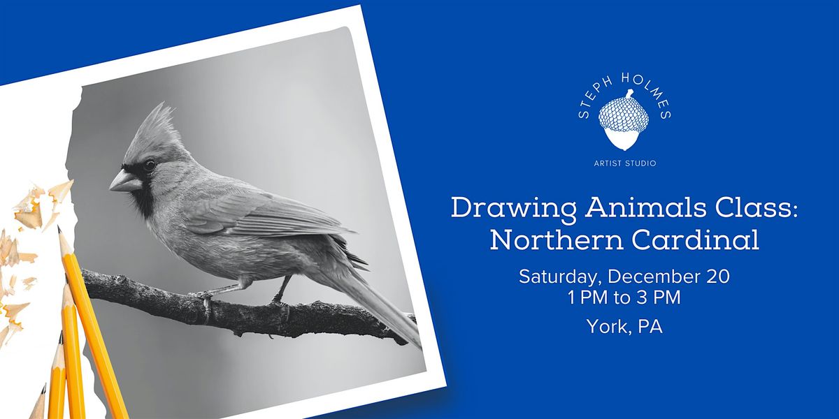 Drawing Animals Class: Northern Cardinal, 20 December | Event in York | AllEvents
