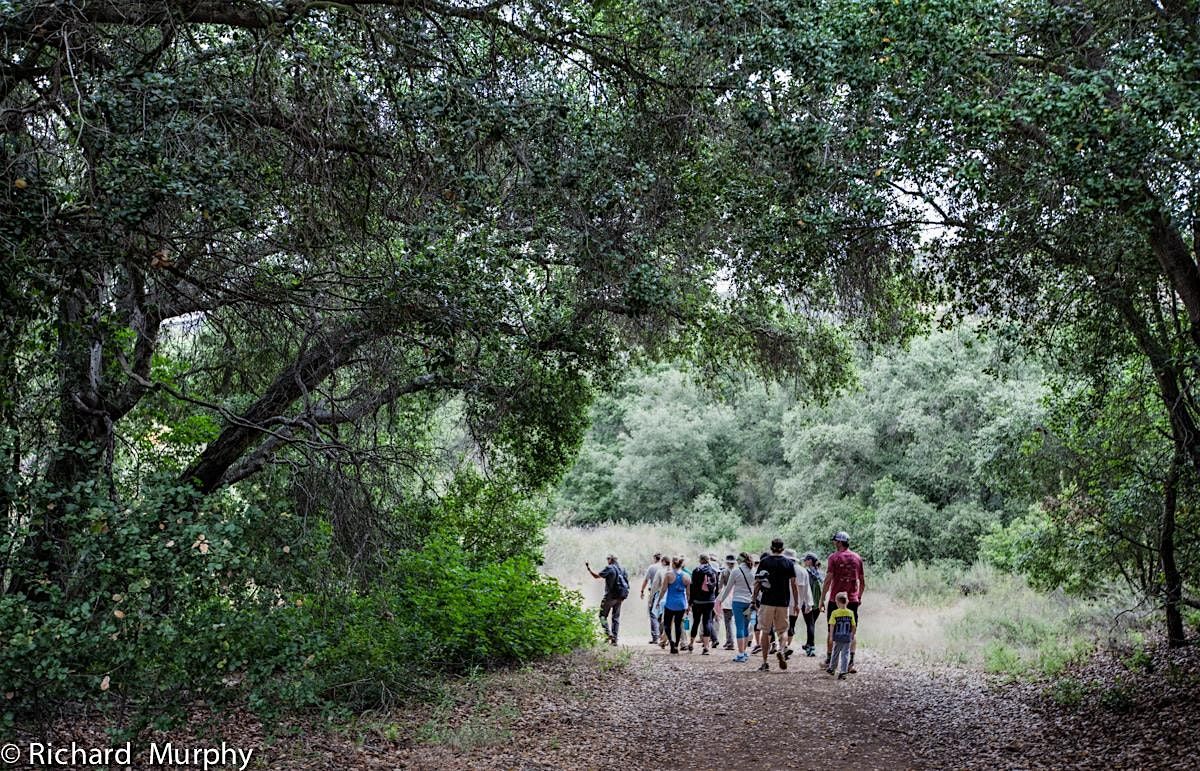 Welcome to the Watershed Series, 7 February | AllEvents