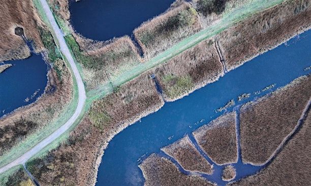 Earthtrack Data Capture - Gwent Levels, 11 August | Event in Newport | AllEvents