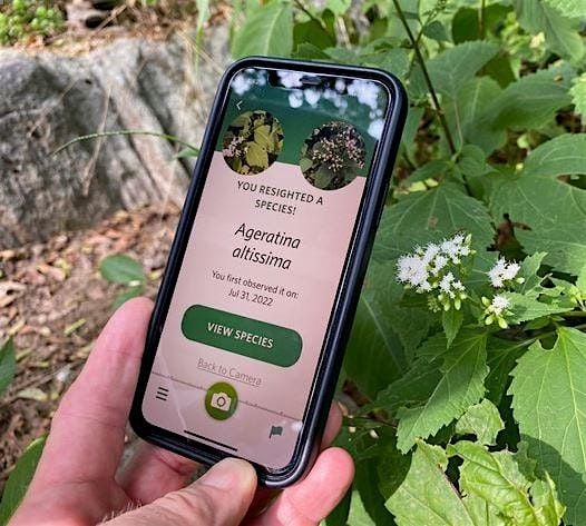Intro to iNaturalist ♿, 24 June | Event in Pleasantville | AllEvents