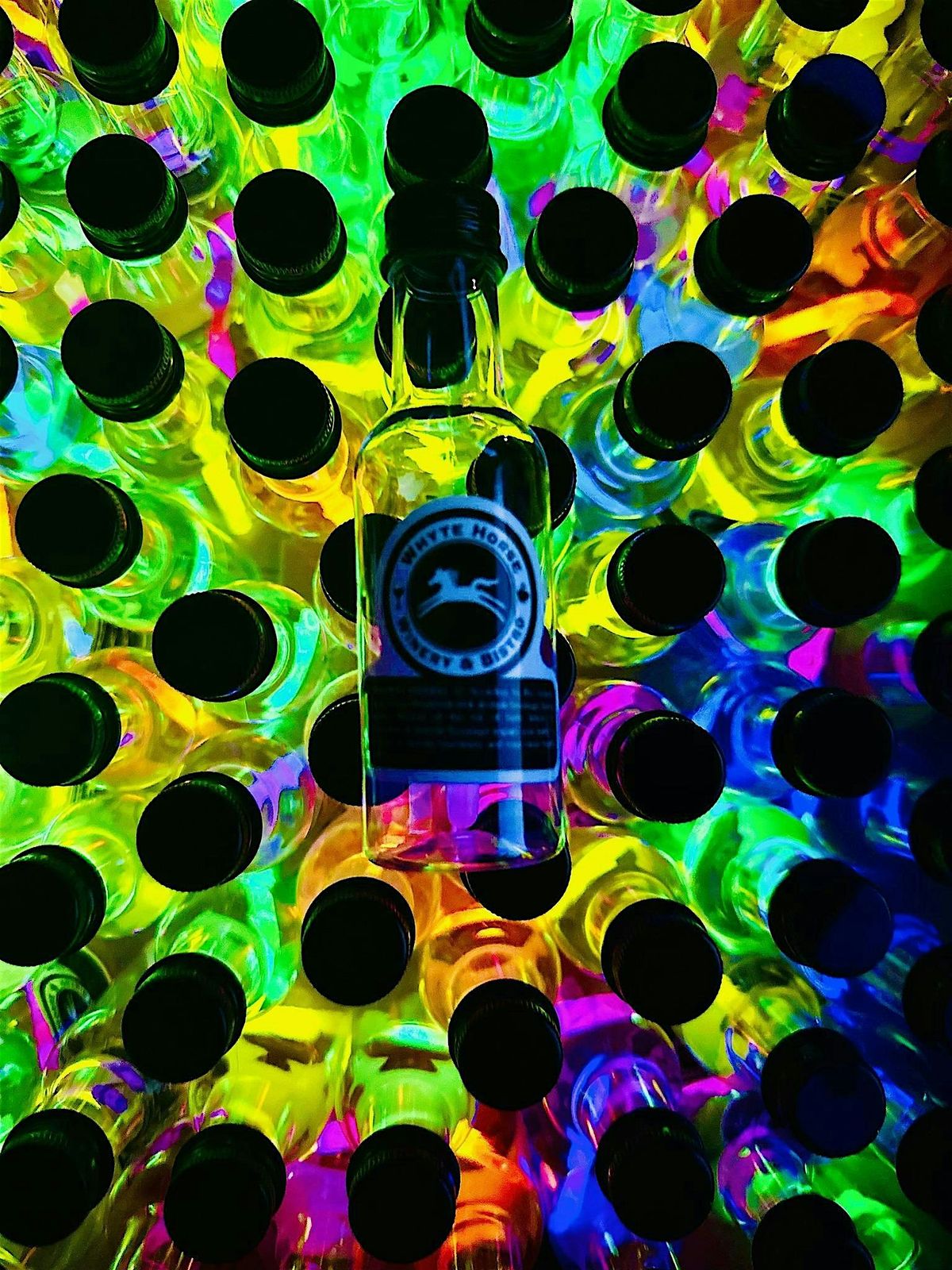 The Screams & Spirits Hunt : Glow in the Dark Wine Adventure, 17 October | Event in Monticello | AllEvents