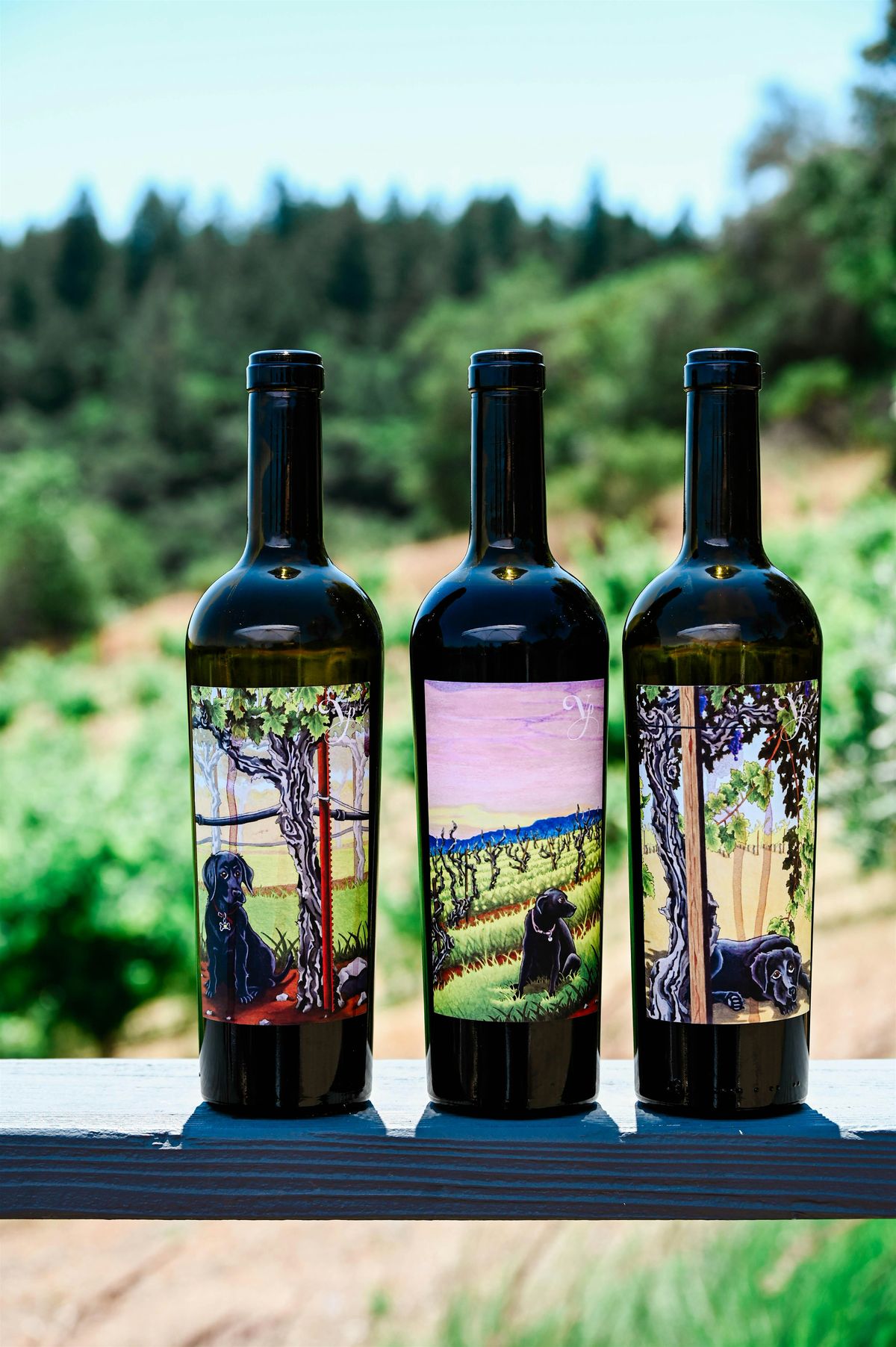 Violet’s Paradise Fall Wines Release  Party, 6 September | Event in Healdsburg | AllEvents