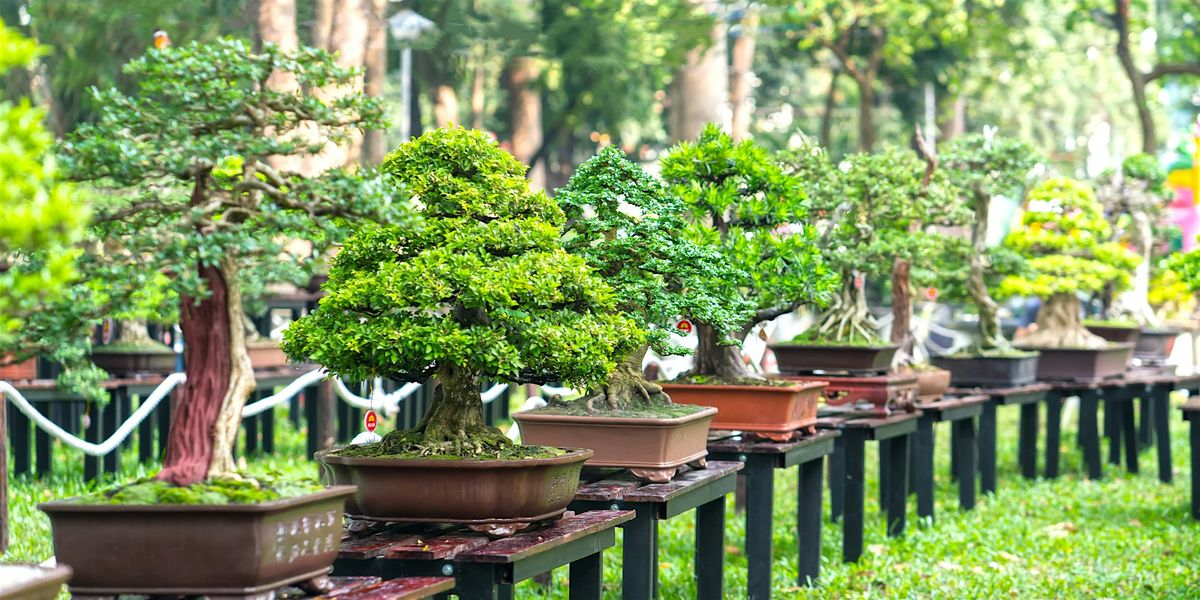 Basic Bonsai, 7 June | Event in Kaysville | AllEvents
