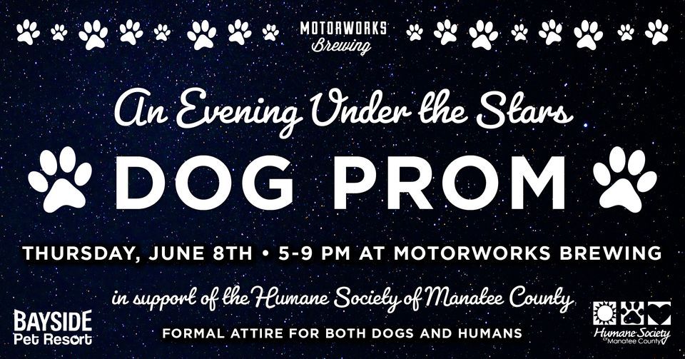An Evening Under The Stars: Dog Prom at Motorworks Brewing, Motorworks Brewing, Bradenton, June 8 2023 | AllEvents.in an-evening-under-the-stars-dog-prom-at-motorworks-brewing-motorworks-brewing-bradenton-june-8-2023-allevents-in