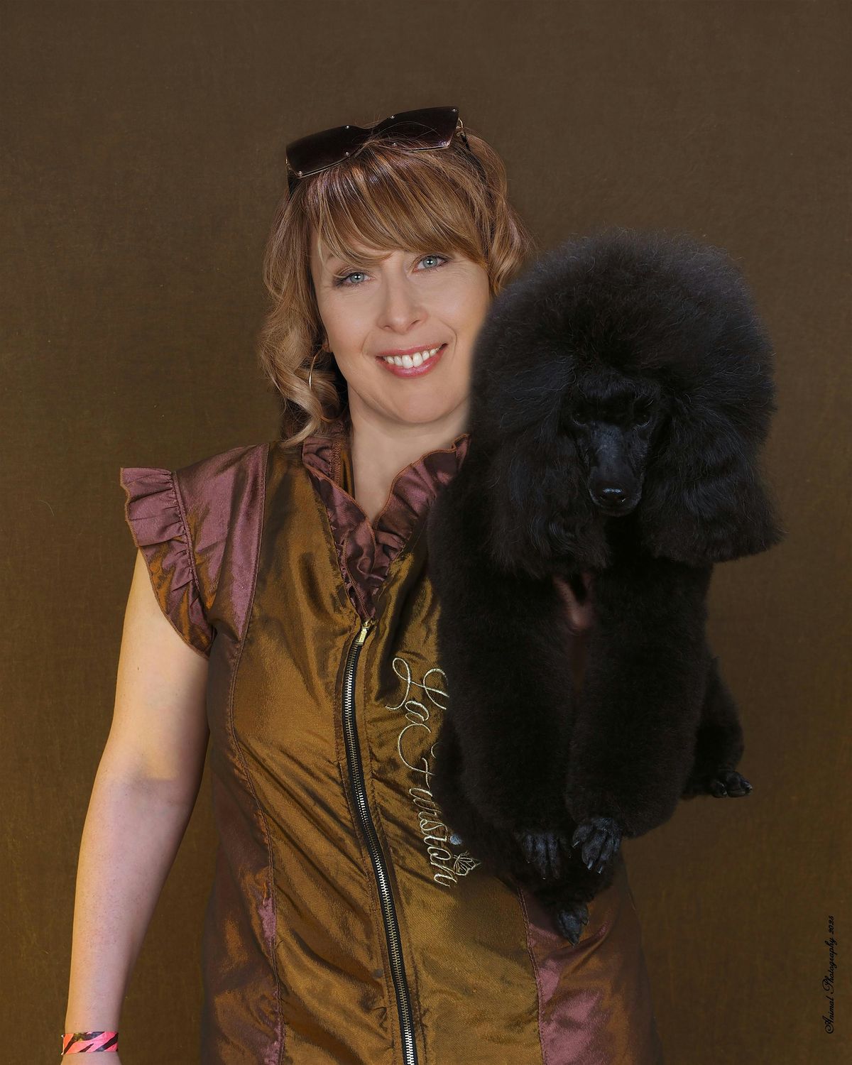 Set yourself for Success. NDGAA/AKC Workshop and Practical Test, 31 May | Event in Greensboro | AllEvents