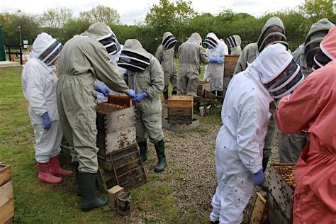 Advanced NDB Course 2026, 3 July | Event in Pershore | AllEvents