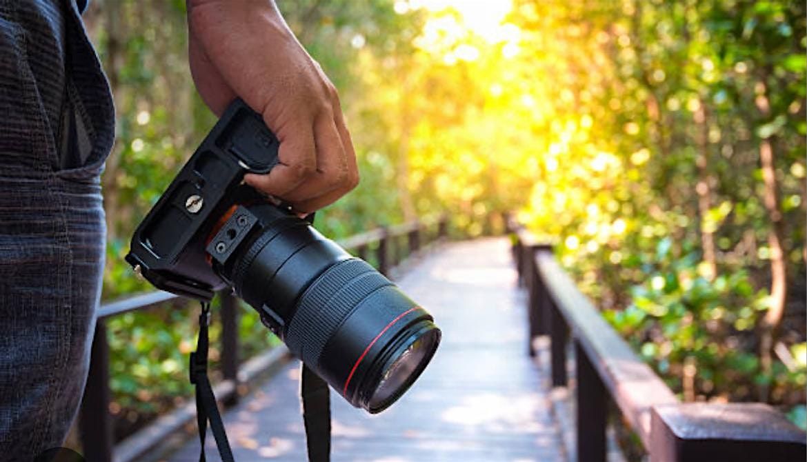 Picture Day Registration, 14 May | Event in Orlando | AllEvents