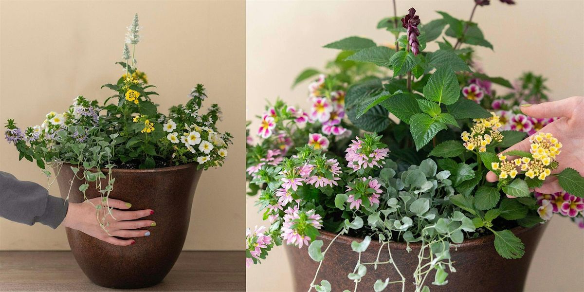 Make-n-Take : Heat Tolerant Container Garden at Mahoney's Osterville, 13 July | Event in Chelmsford | AllEvents