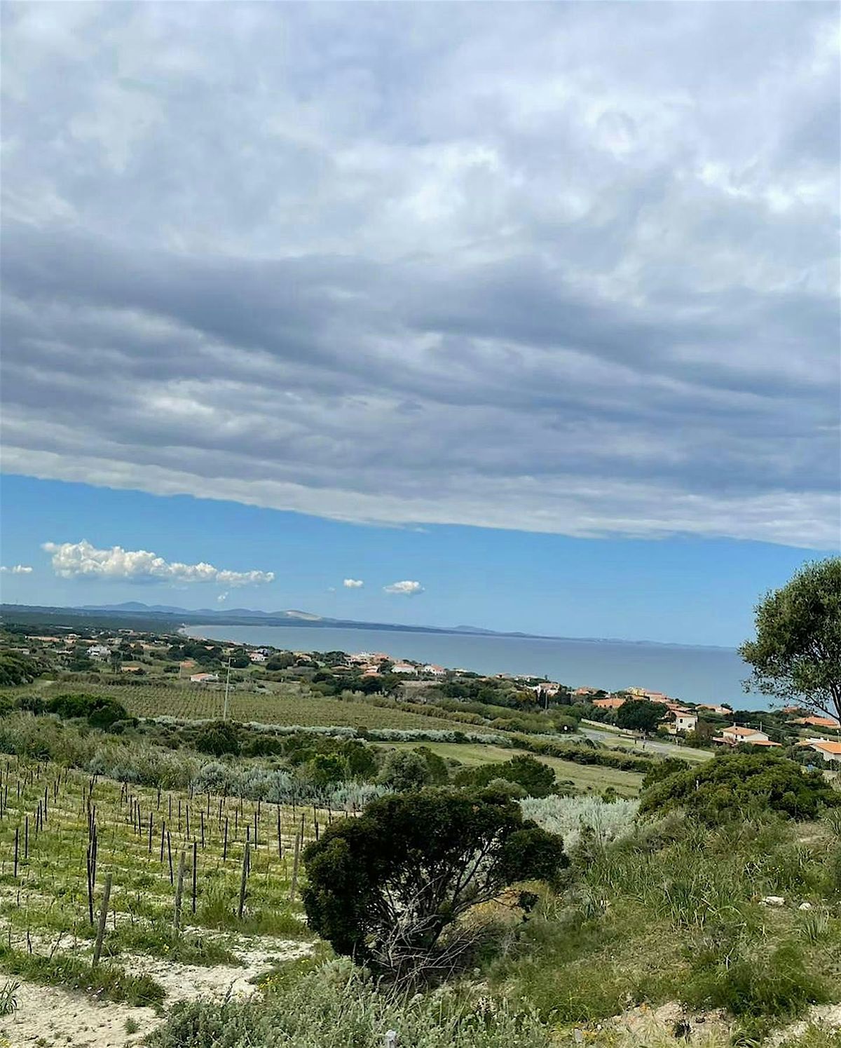 Strade Bianche Italian Wine Dinner | Event in Travelers Rest | AllEvents