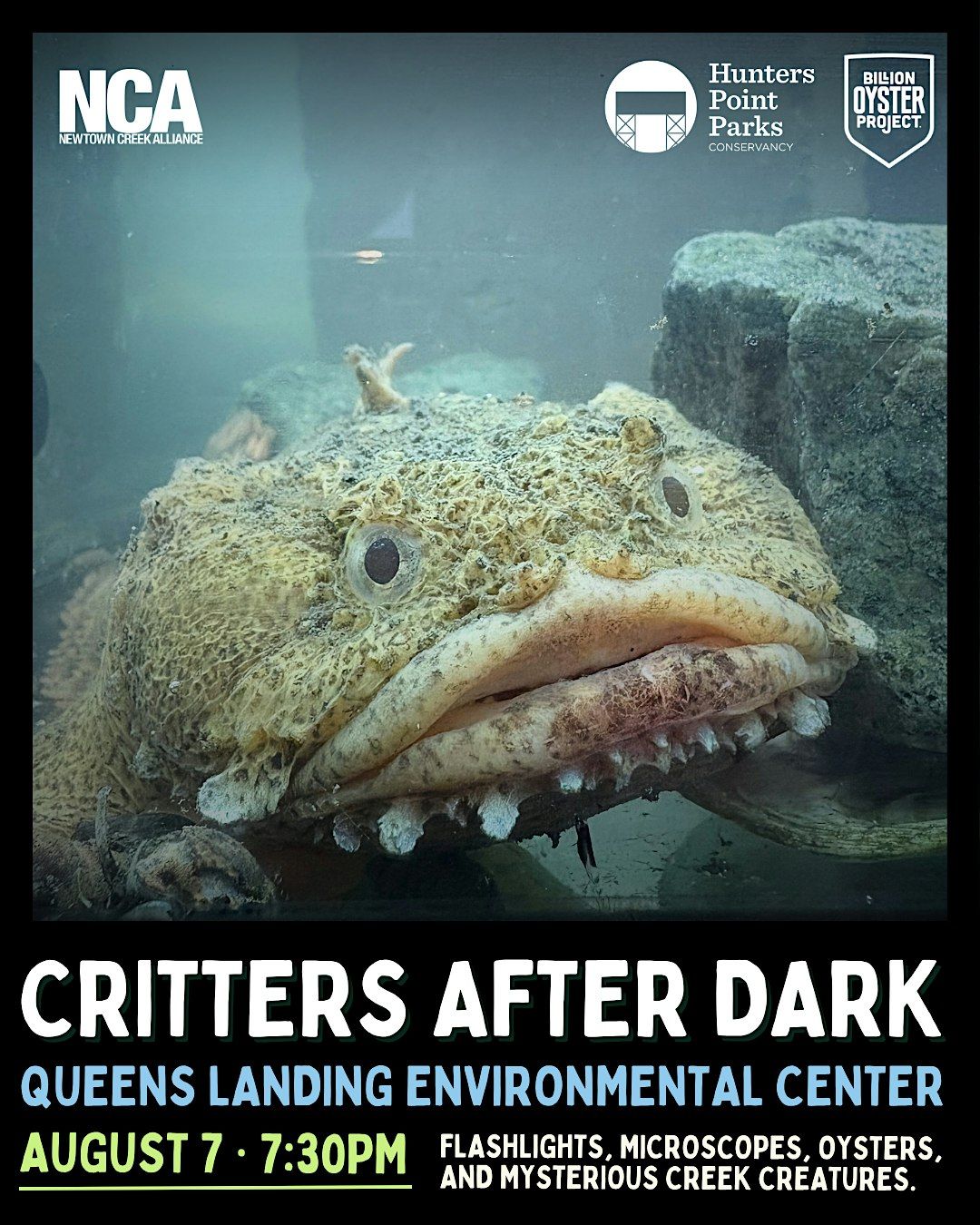 Critters After Dark, 7 August | Event in Queens | AllEvents