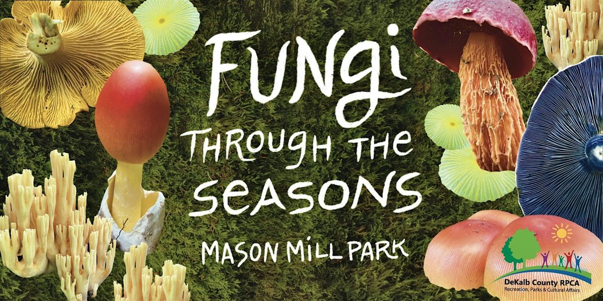 Fungi Though the Seasons: Fall, 13 September | Event in Decatur | AllEvents