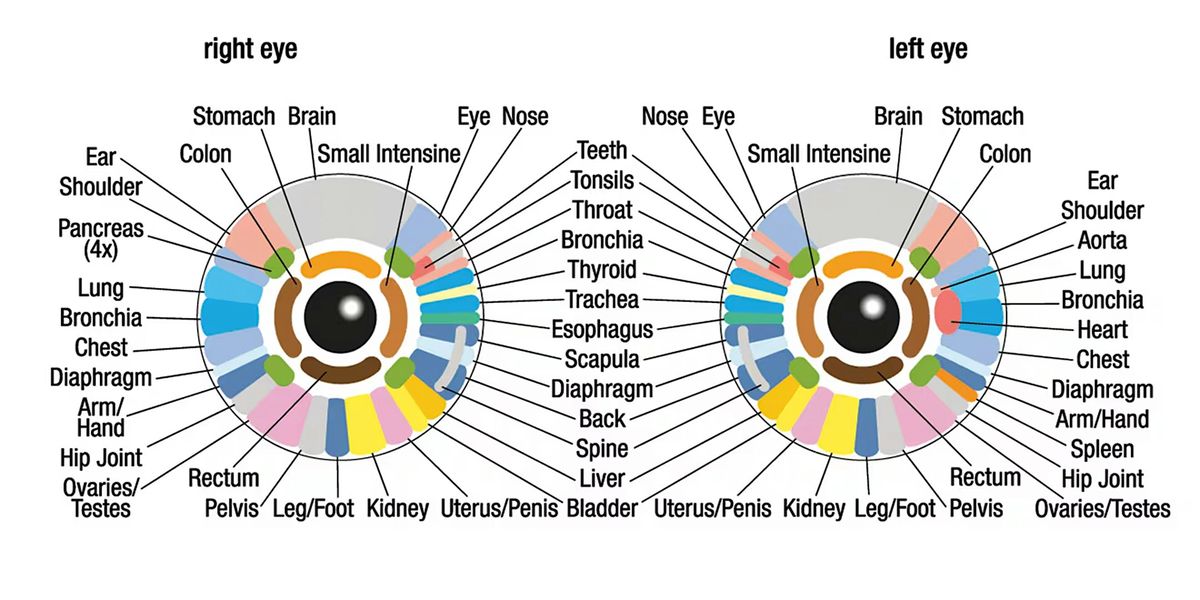 Iridology Workshop, 12 October | Event in Norfolk | AllEvents