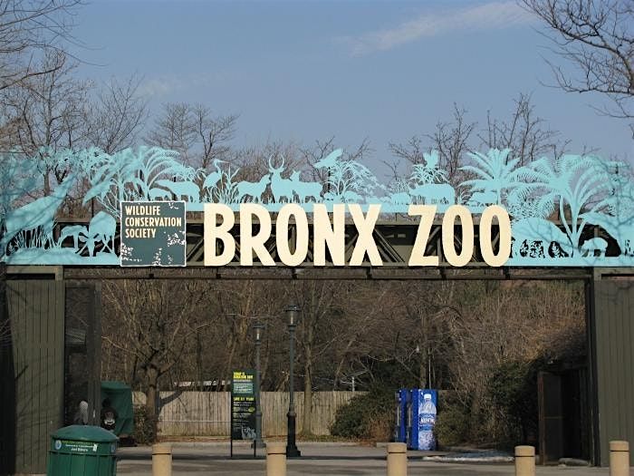Adventurous Scavenger Hunt - Bronx Park Booty Bop Adventure | Event in The Bronx | AllEvents