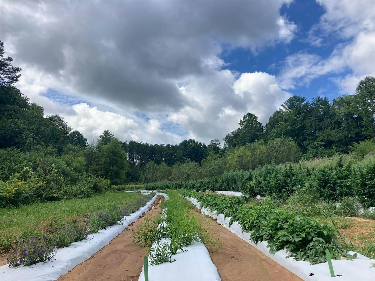 NC Medicinal Herb Grower and Buyer Event - 10 Year Celebration!, 13 November | Event in Mills River | AllEvents