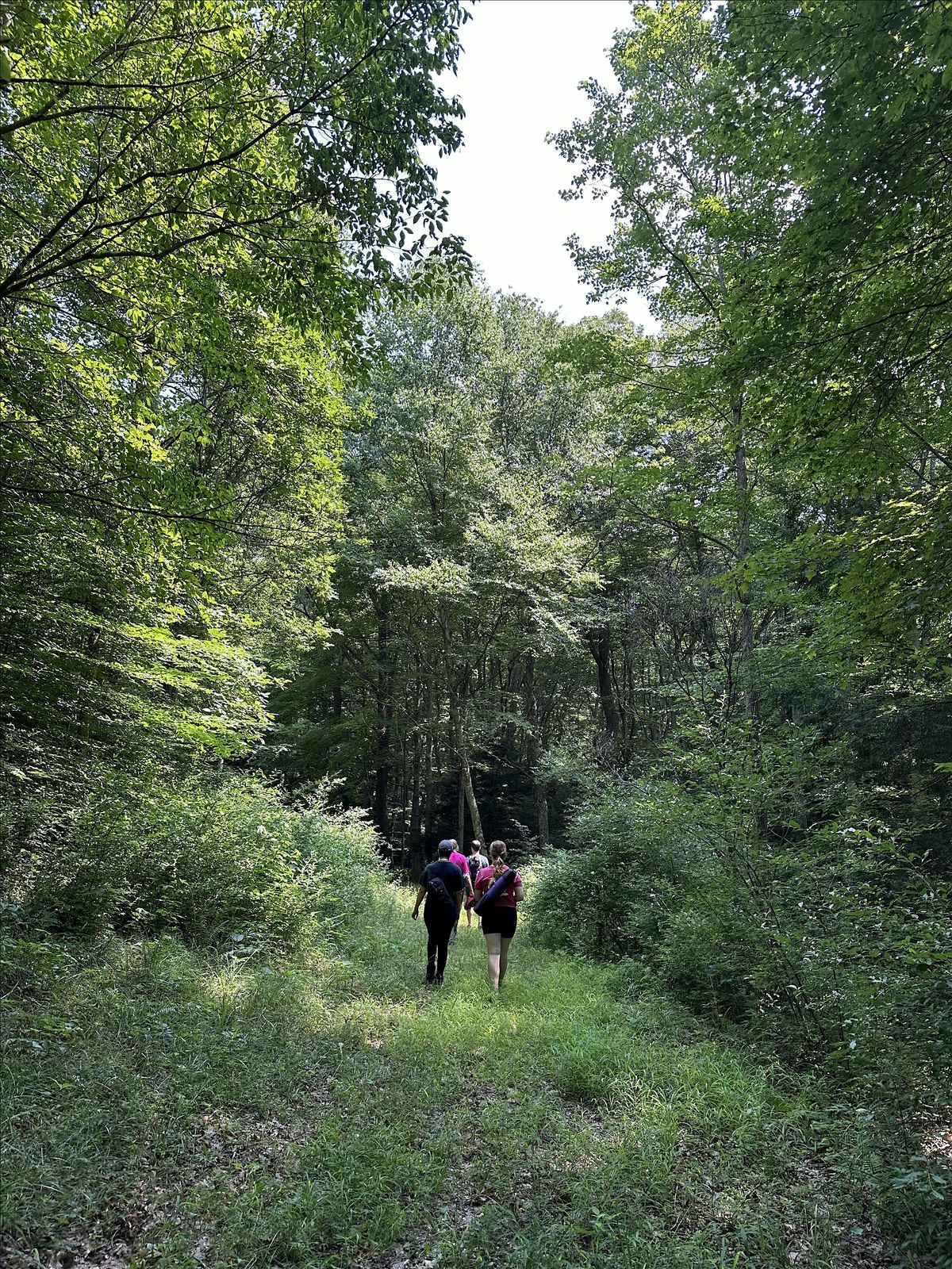 Seasonal Mindfulness Walks, 14 December | Event in Athens | AllEvents