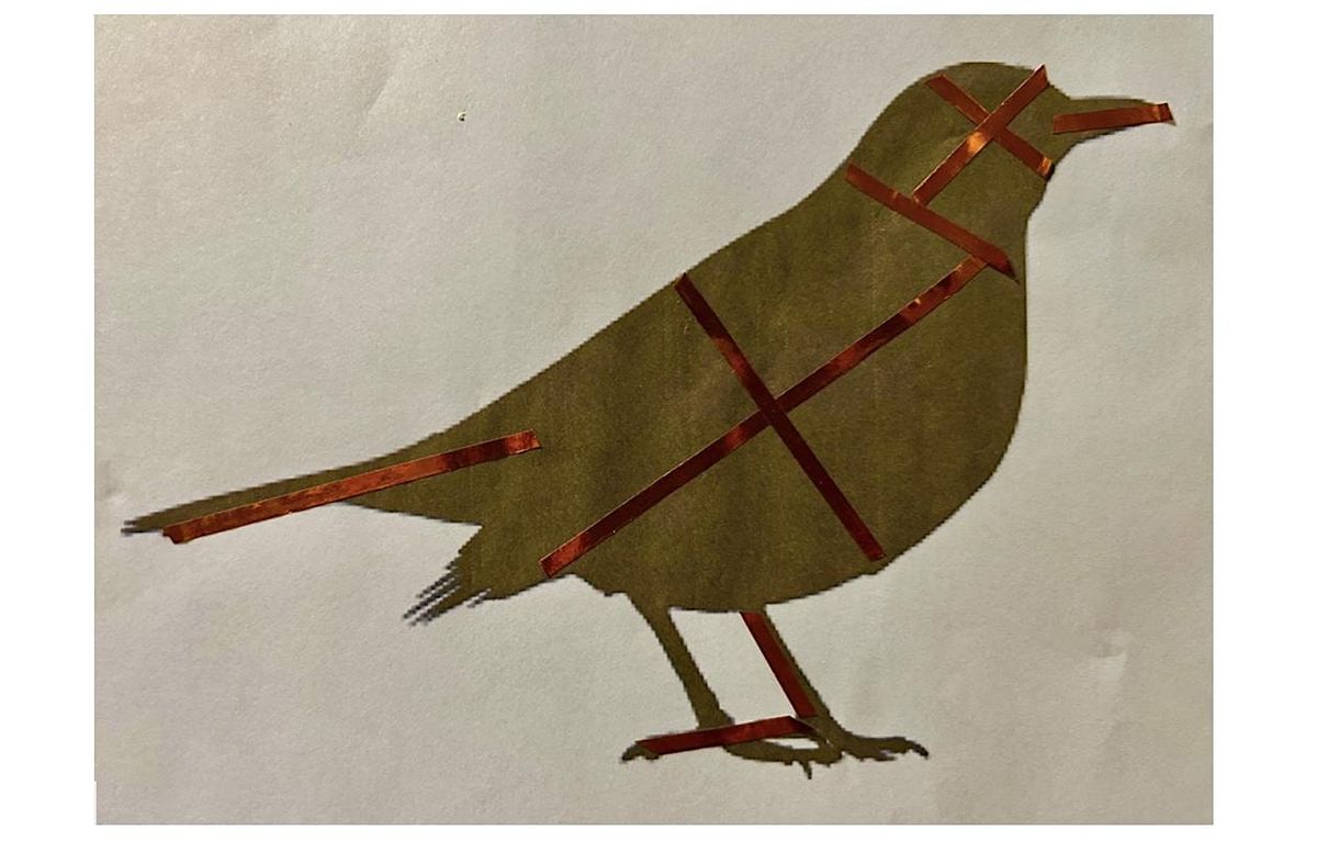 How to Draw a Bird (Fun and Easy) For Adults and children ages 10 and up., 13 September | Event in Fayetteville