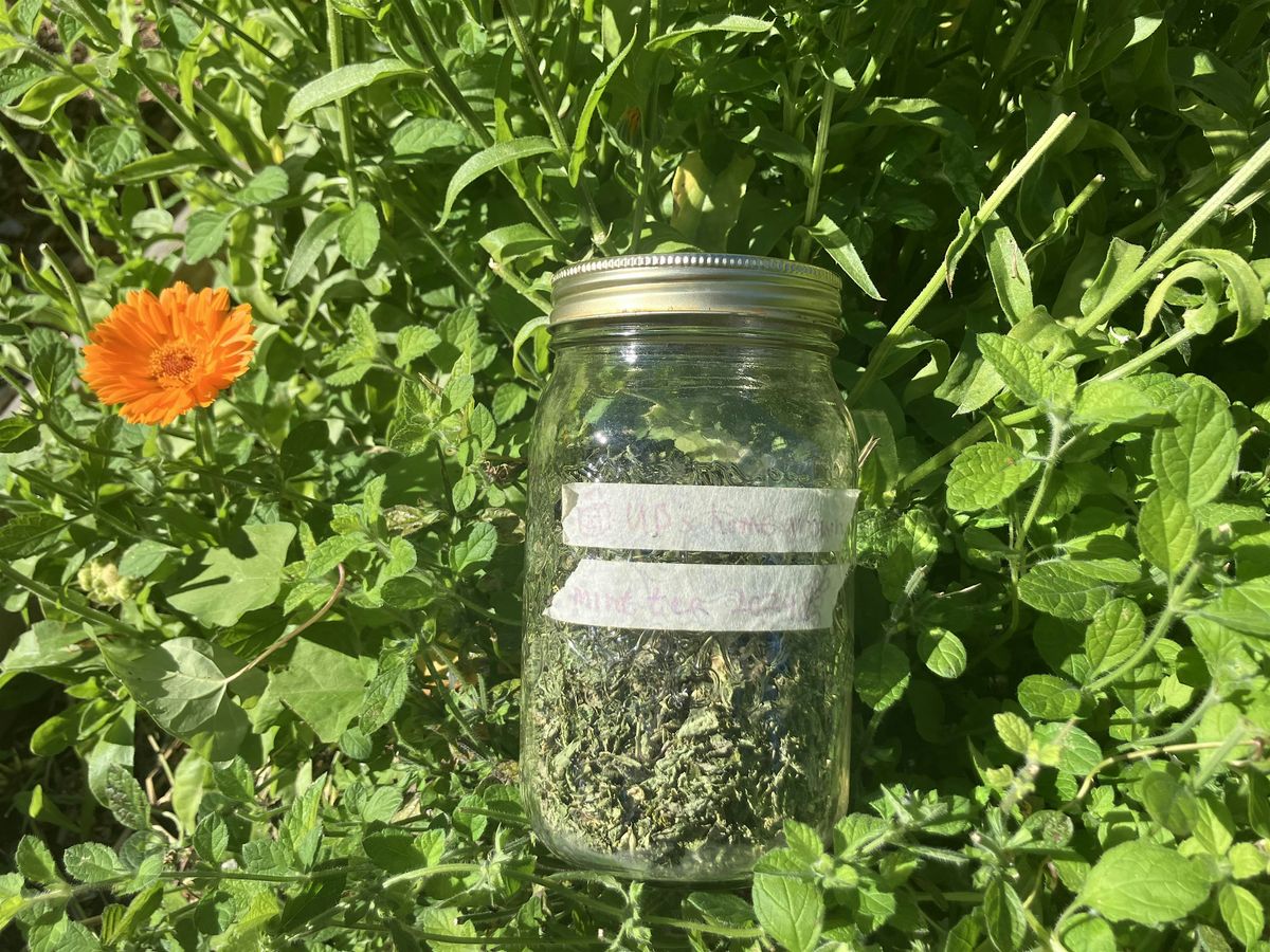 Garden Remedies Series:  Teas and Decoctions, 1 November | Event in Richmond | AllEvents