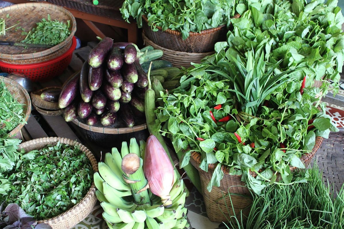 National Nutrition and Physical Activity Survey 2023 Results Seminar, 26 November | Event in Kelvin Grove