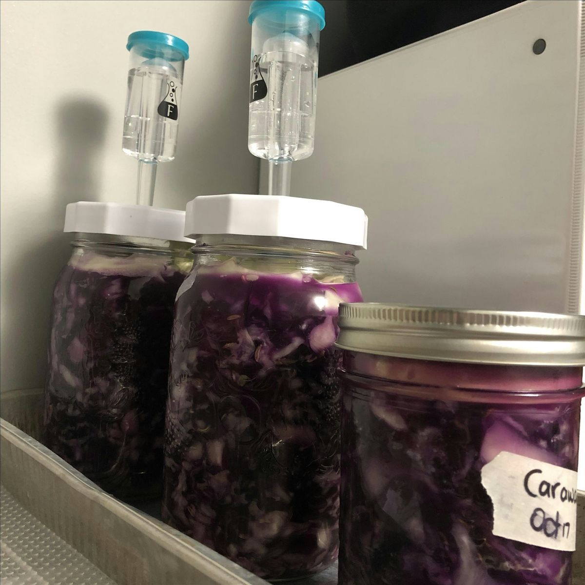 The Basics of Fermentation, 11 October | Event in Welsford | AllEvents