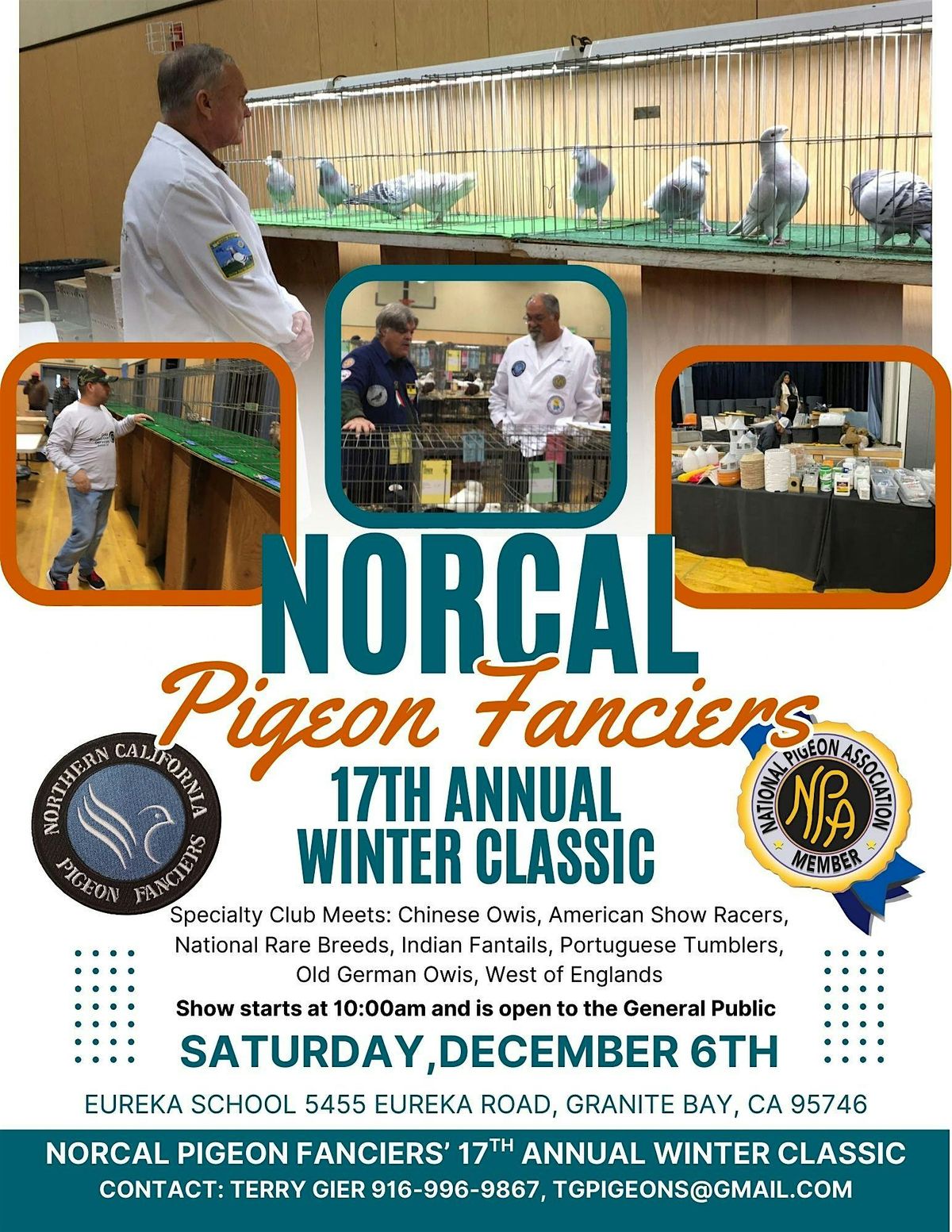 17th Annual Winter Classic Pigeon Show by the NorCal Pigeon Fanciers, 6 December | Event in Granite Bay | AllEvents