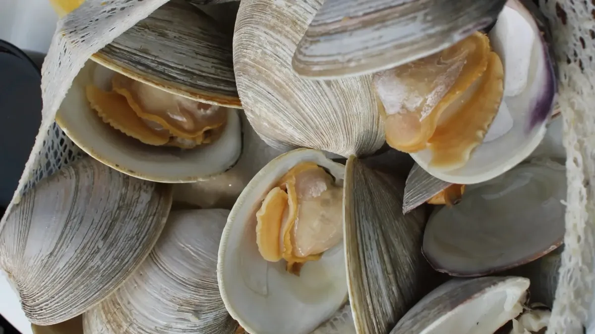 It's Clambake Time at The Lizard!!!, 5 October | Event in Macedonia | AllEvents